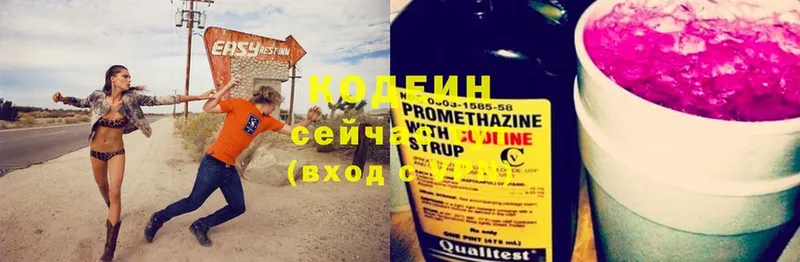 закладки  Будённовск  Кодеин Purple Drank 